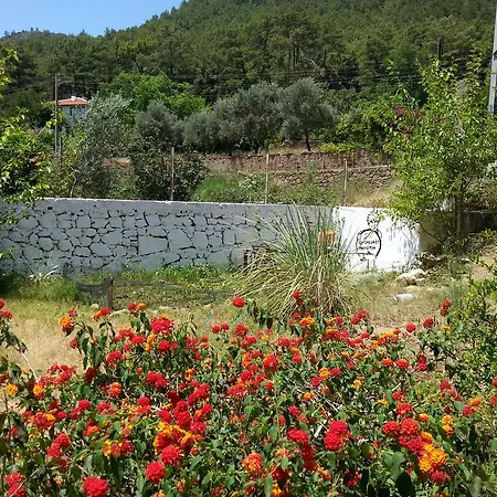 Onuncukoy Ekincik